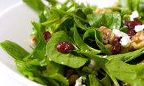 spinach arugula cranberry walnut salad